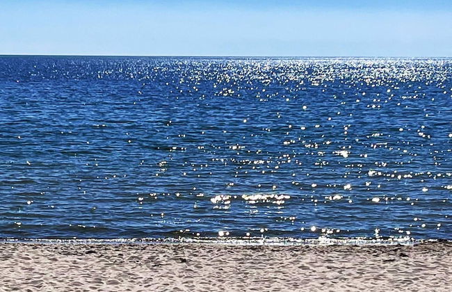 4 Person Holiday Home in Lottorp - Foto 16