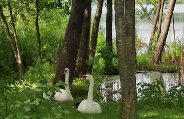 Bolek Lolek Domki Apartamenty - Foto 22