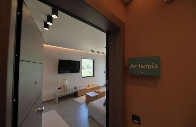 Antinea Olympian Villa - Foto 41