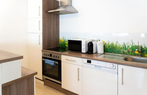 TOP! Gemütliches Studio-Apartment zentral, WLAN, Küche - Foto 10