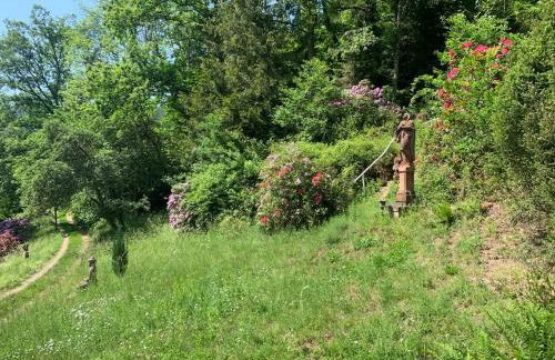 Schwarzwaldhütte am Bach mit Sauna - Foto 16