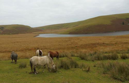 Gwilym's Stable - Foto 21