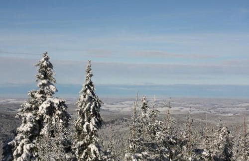 Appartements Gahler - Kurort Oberwiesenthal - Foto 48