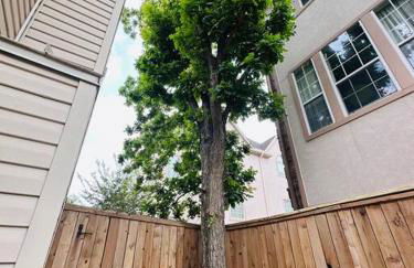 StarryNight at Museum Park - WORLD CUP - Foto 23