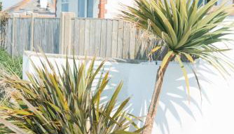 Fisherman's Daughter - Foto 5, Other