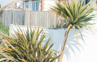 Fisherman's Daughter - Foto 5