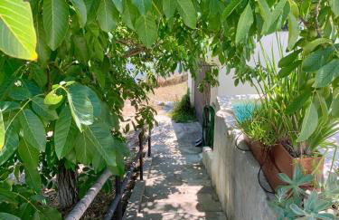 Casa Amador, Charming 2 Bedrooms House in Alcácer - Foto 45