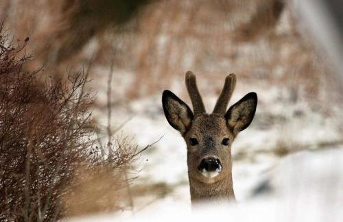 Apartamenty w Dolinie Gościna - Foto 24