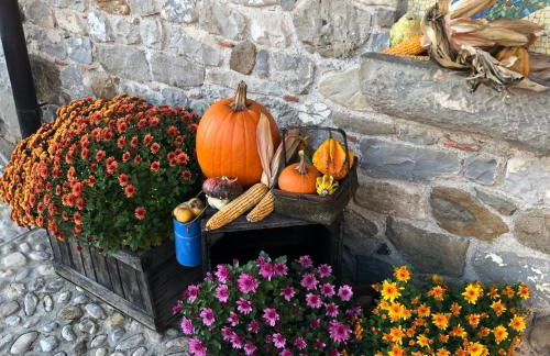 Agriturismo Clochiatti - Foto 64