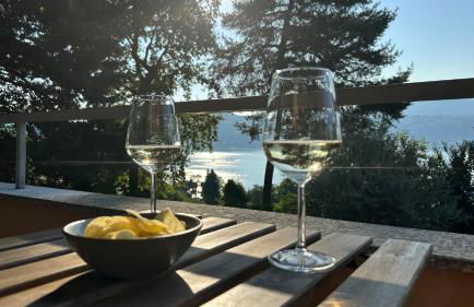 BELLAVISTA-lake view apartment - Ranco - Foto 12