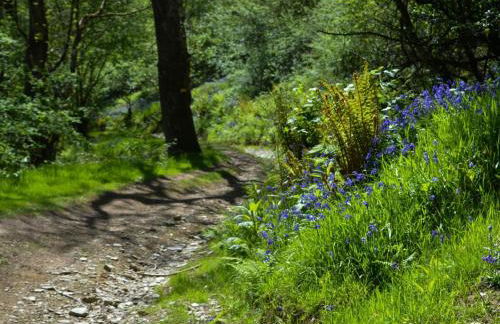 3 Bed in Llanllwni 91447 - Foto 8