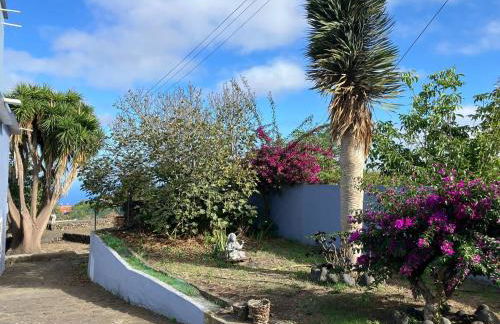 La casa del pintor - Foto 17