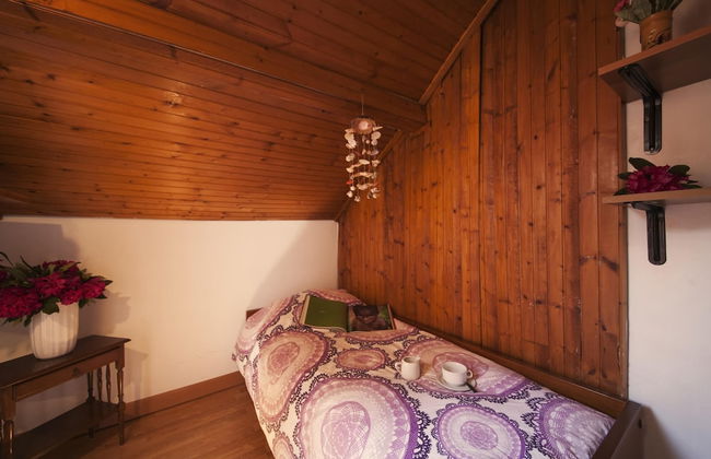 Rododendro Rosso in Ispra - Foto 20