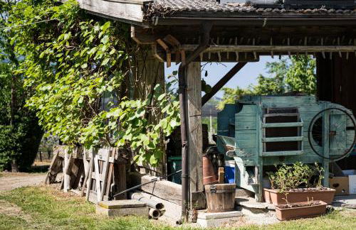 Tribus Lorenz - Wiesgut - Photo 24