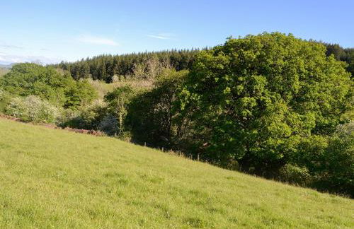 The Old Cider Mill - Foto 17