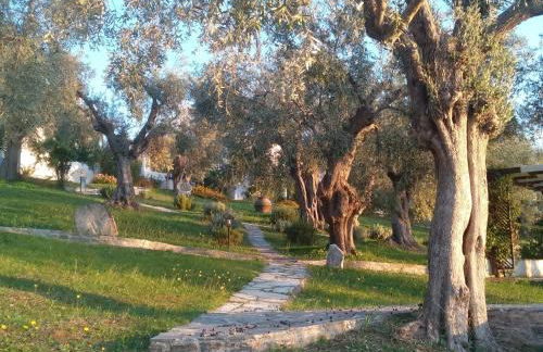 Saint Andrews Bay - Foto 10