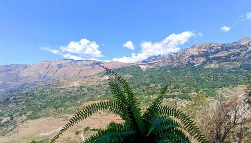 Polizzihouse - Foto 4