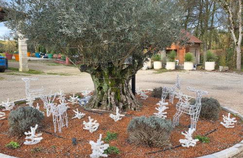 Belle Quercynoise piscine jacuzzi partagés - Foto 77