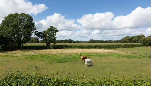 Stunning studio flat with dedicated private garden - Foto 5, Garden view