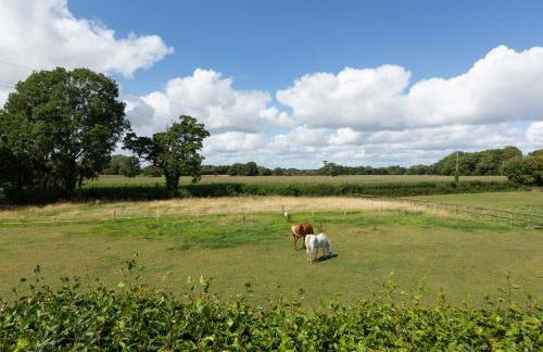 Stunning studio flat with dedicated private garden - Photo 5