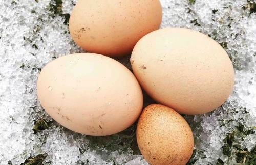 Lettoch Farm Holiday Home - Foto 12