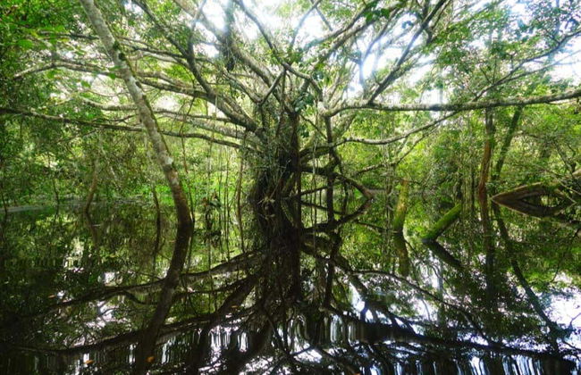 Tingana Nature Reserve Private Day Trip - Photo 6