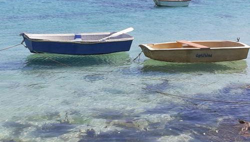 La petite bretonne de Tréompan - Foto 5