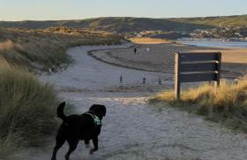 Peacehaven, Ynyslas, Borth - Photo 19