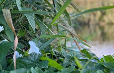 Wintertraum in Damm - 70 qm Wellness & Wohlfühl-Atmosphäre - Foto 60