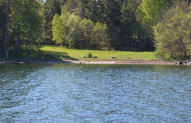 4 Star Holiday Home in Gallnoby - Foto 12