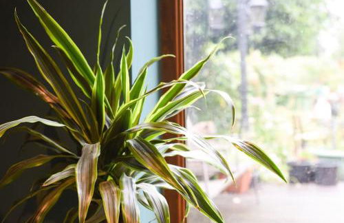 Air Maison - Large Family Home with Pool Table - Photo 21