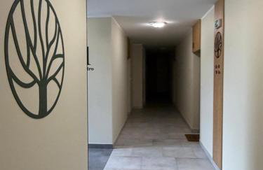 Cztery Wiatry Mazury - nad jeziorem Czos - Foto 21