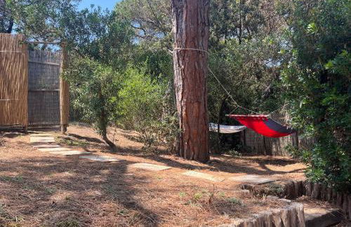 Casa duna sulla spiaggia - Foto 19