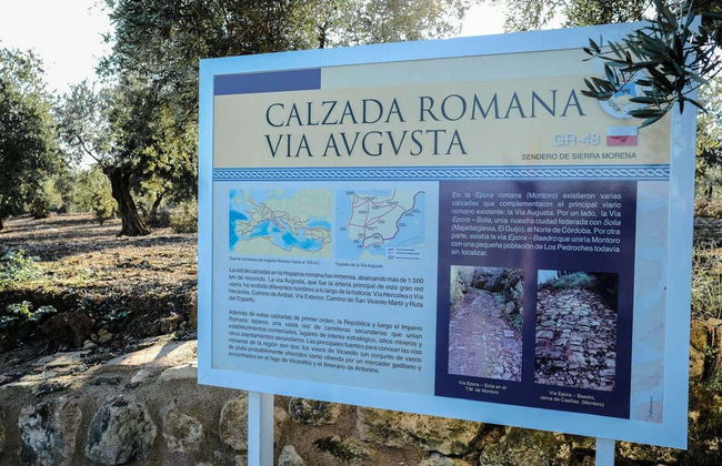 Tour por la Ruta Bética Romana - Foto 7