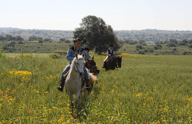 Hotel Casato Licitra - Foto 30