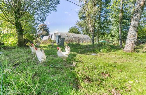 1 Bed in St. Austell oc-b33396 - Foto 23