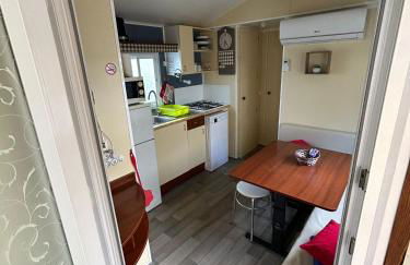 Salamandre - Foto 31