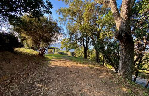 Domaine Punta della Guardia villa vue mer dans nature protégée, plage à 1,5 km - Foto 32