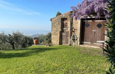 Podere il Poggio - Foto 11