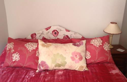 The Bittern - Foto 3