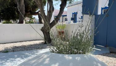 Ahinos - Foto 3, Garden