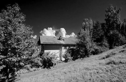 Ferienwohnungen Haus "Wildschütz" - Foto 5