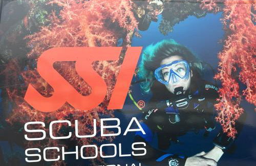 T2 appartment with sea view and swimmimg pool. - Foto 30