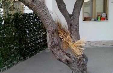 Marechiaro - Foto 30