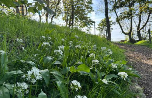 The Granary - Foto 30