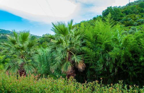 Casa Due Ulivi - Foto 12