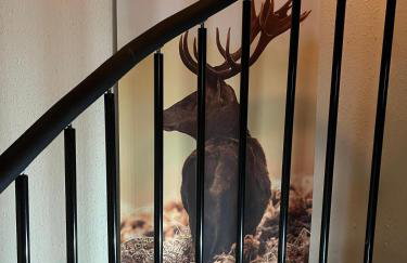 Urige idyllische Hütte mit Sauna - Photo 7