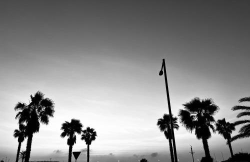 la casetta tra laguna e mare Poetto - Foto 60