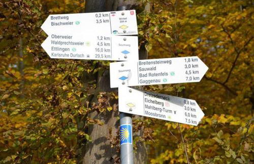 Schwarzwald Boutique-Apartment HAUS REHGARTEN - Foto 49