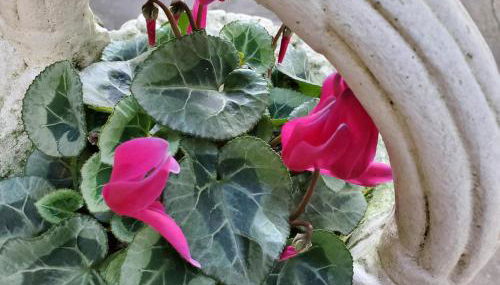 CASA O´PACIÑO - Foto 3